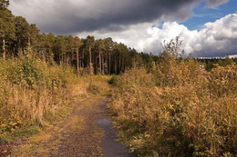 Am Ende des Sommers / ***