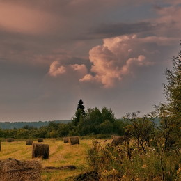 letzten Tag des Sommers / ***