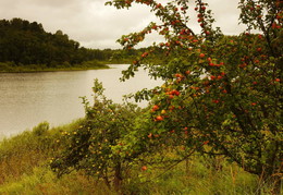 Abschied von Sommer. / ***