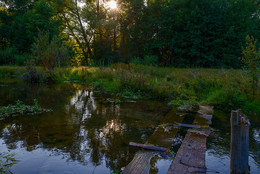 Brücke / ***