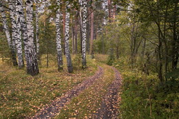 Der Beginn des Herbstes / ***