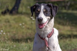 Porträt von einem Freund / ***