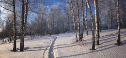 Im Winterwald. / ***