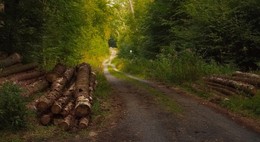 Straße nach einem Märchen / ***