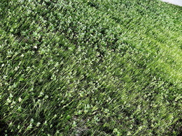 &nbsp; / 2018-07-03-004-C00-036(80)+C