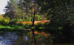 Sommerabend auf dem Teich / ***