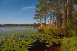 Last Day of Summer ... / ***