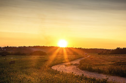 Golden Sunset / ***