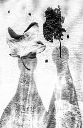 King &amp; Queen / ***