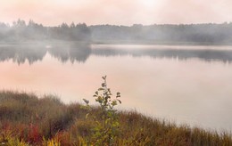 Misty Abend / ***