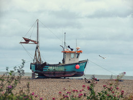 Ship to Shore / ***