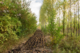 Über Herbst ... / ***