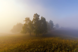 Herbst-Traum / ***