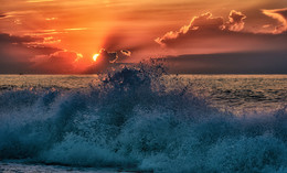 Spray / ***