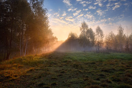 Herbst Morgendämmerung / ***
