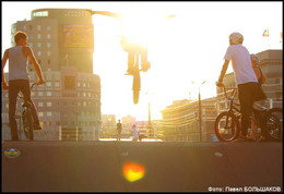 Fliegen / ***