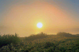 Morgendämmerung / ***