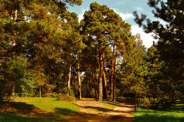 Serebryany Bor / ***