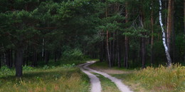 Forststraße / ***