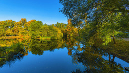 Altweibersommer / ***