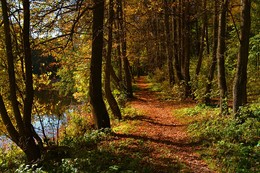 Herbst in Moskau / ***