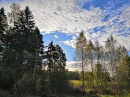 Morning Light / ***