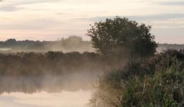 Fluss Nebel / ***