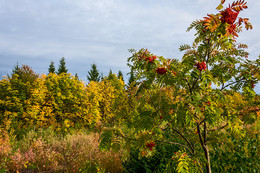 Herbst / ***