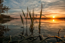 Morgendämmerung / ***