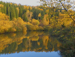 &nbsp; / [img]https://c.radikal.ru/c06/1810/f2/03ba46014a7a.jpg[/img]