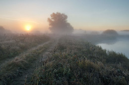 Morgendämmerung / ***