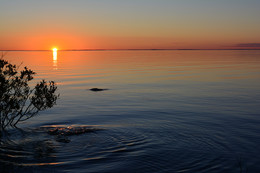 Karelischen Sonnenuntergänge / ***