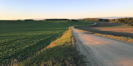 Weg / ***