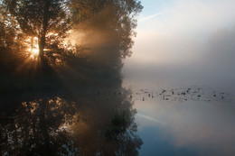 Die ersten Strahlen / ***