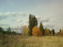 Herbst / ***