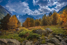 Herbstwind / ***