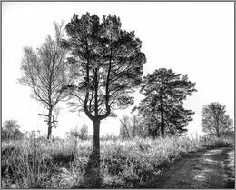 Graphics Herbst / ***