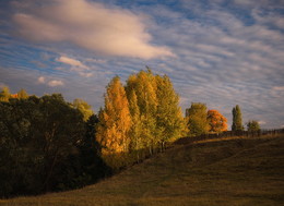 Die Palette des Herbstes / ***