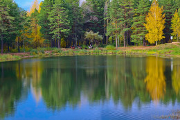 Herbstfarben der Natur. / ***