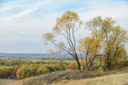 Über Herbst ... / ***