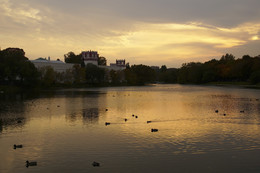 Abend / ***