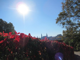 Herbst in Dresden / ein sehr schöner Herbsttag in der Landeshauptstadt