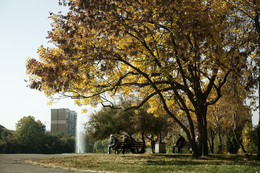 Der Geruch des Herbstes / ***