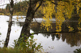 Der Geruch des Herbstes / ***