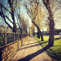 Der Geruch des Herbstes / ***