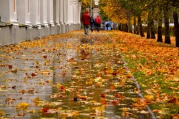 Der Geruch des Herbstes / ***