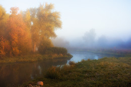 Der Geruch des Herbstes / ***