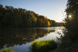 Der Geruch des Herbstes / ***