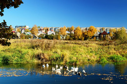 Der Geruch des Herbstes / ***