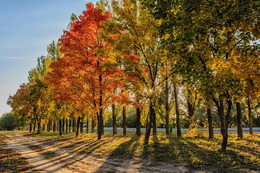 Der Geruch des Herbstes / ***